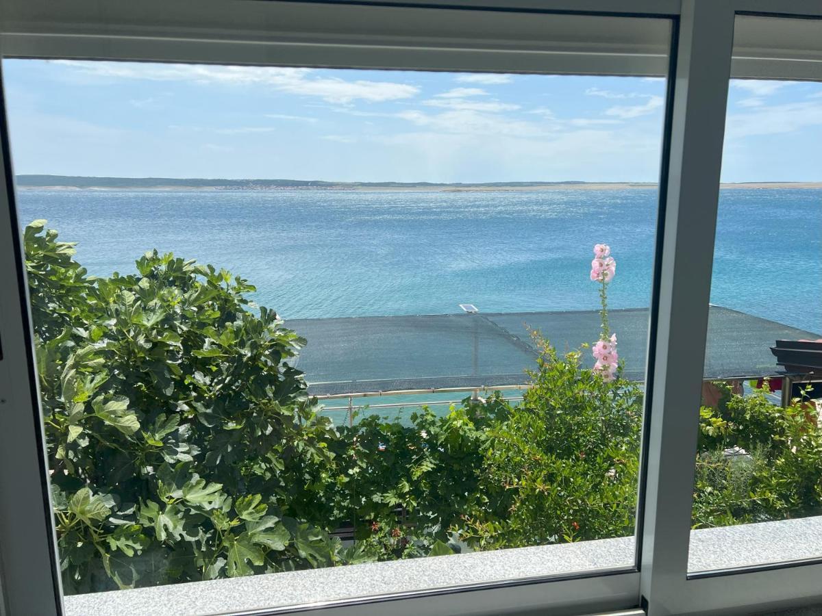 Apartman Marjan Šibuljina Extérieur photo